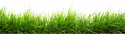 10054_grass5.