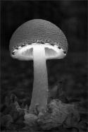 10103_tumblr_mk5xljdKZA1rdtdoho1_400.