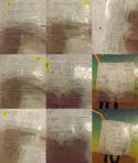 10152_collage.