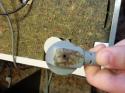 10348_6KW1sBet1ZE.
