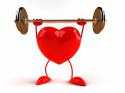 10379_healthy-heart1.