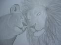 1041IMG_7106.