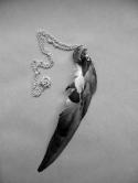 1050tumblr_lyii8kdLH81qegy8do1_500.