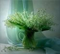 10510_yuyu222222.