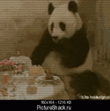 1065180px-Panda.