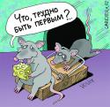 10706_ppp.