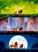 1079_forest-funny-lion-king-moon-pumba-simba-Favim_com-78339.