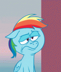 1082124674_-_animated_artist_Max_Gilardi_rainbow_dash_SHED_MOV_swag_wingboner.