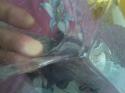 10878_pic00460.