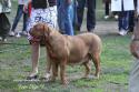 1104IMG_3144.