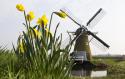 1124IMG_0428small.