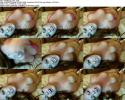11289_0446tsam1351_s.