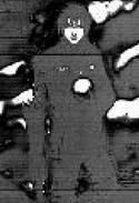 11336.