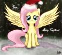 1146fluttershy_says_merry_christmas_by_aeronjvl-d4k1khs.