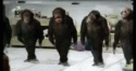 11474_monkey_dance.