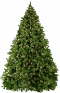 11499_XmasTree6.