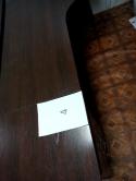 114_IMG_20141112_143546.
