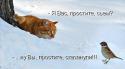 11551_kotomatrica-auto-22167.