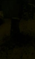 11787_foto0421.