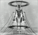1183_Electro2.