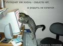 11854_internet.