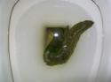 11872_green-poop.