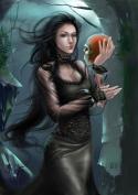 11990_1eed9_9697c4f1_L.