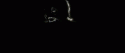 12008_4780348_0_0_51764233_34856473_8727788_1195317955_d1bc18c0b7b3_tlog.