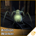 12028_antlionworker.