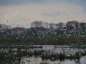 12043_Izobragenie_009.
