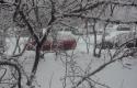 12263_DSC01123.
