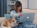 12290_dog.