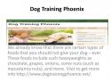 12313_Dog_Training_Phoenix.