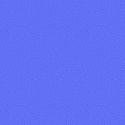 12351_Winni_Designs_cs_10g.