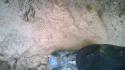 1236_WP_20140909_08_47_12_Pro. 1236_WP_20140909_08_47_12_Pro.