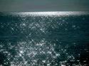 12392_16b20e88b5a3.