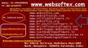 12579_Web_Websoftex.