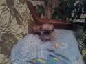 1258Foto0136.