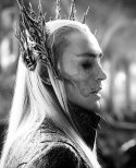 12647_tumblr_my0311BPD61qik4d9o1_500.