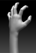 12671_hand1.