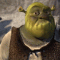 1269Avatar-Shrek_anim.