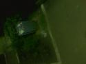 12731_IMG_20140623_011152.