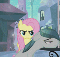 12747_Flutterrage.