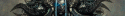 12828_Cmaug.
