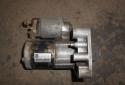 12975_16028788torlepetcotere3714342.