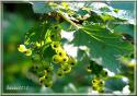 1303_DSC00454_1.