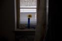 132066_novyi_razmer.