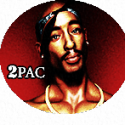 13377_211.