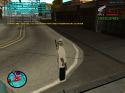 13394_sa-mp-209.