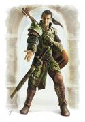 13406_ElvenBard.